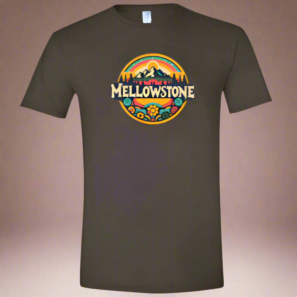 Soft Style T-Shirts
