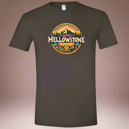 Soft Style T-Shirts